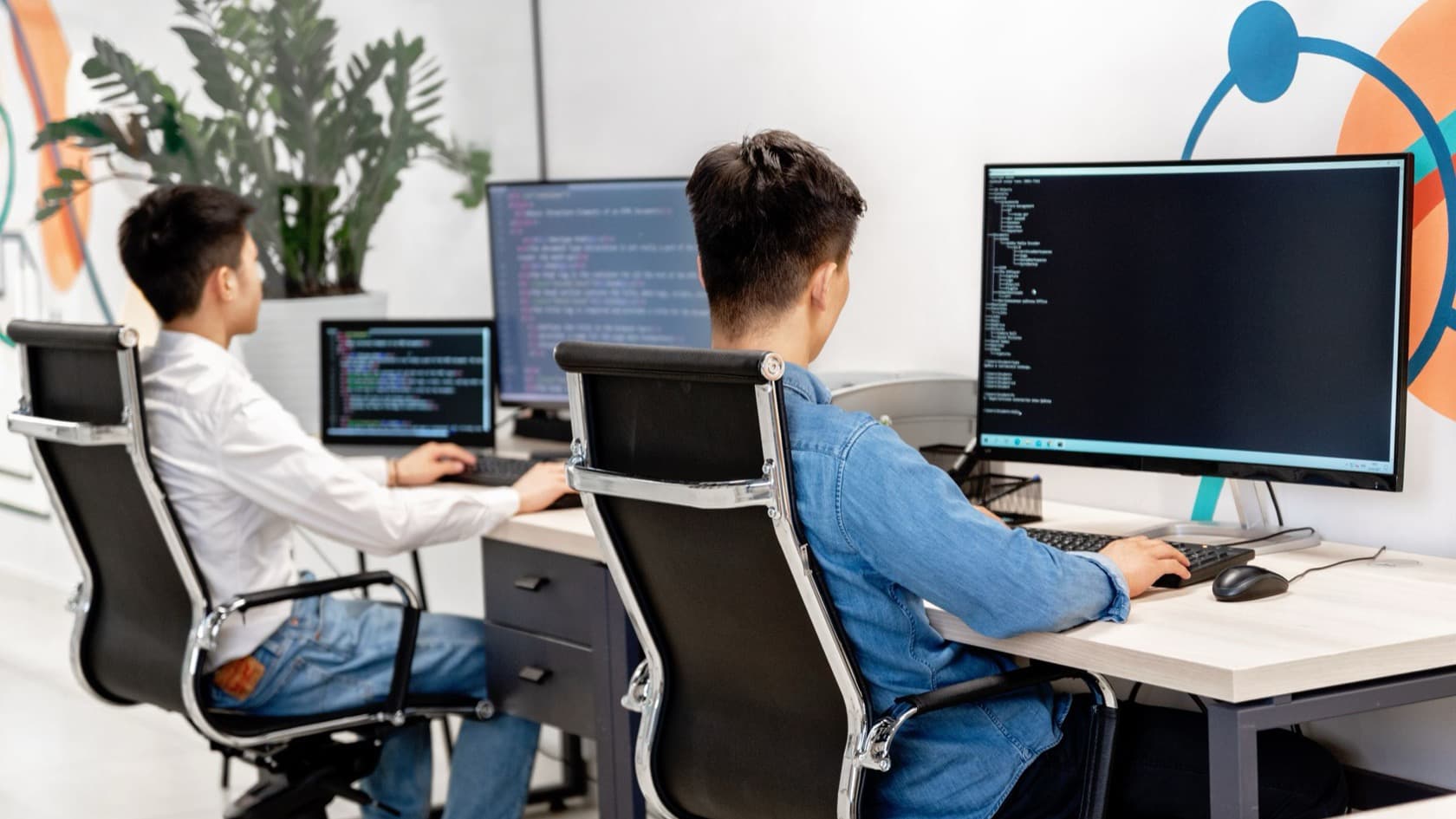 Two developers seen from behind writing code at side-by-side desks in a bright office